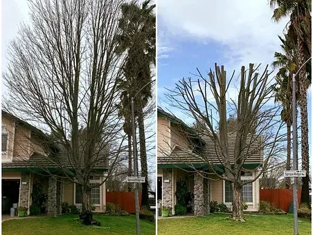 Type a description of this image